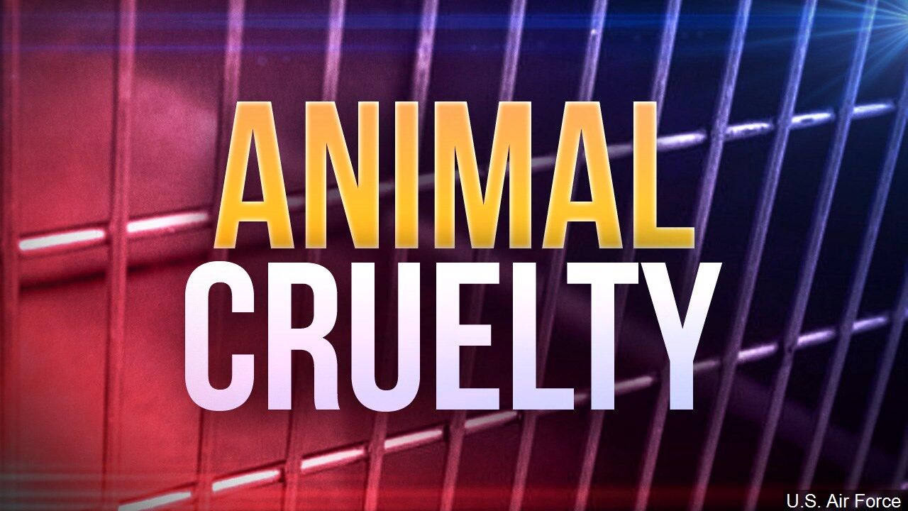 Animal Cruelty and Abuse